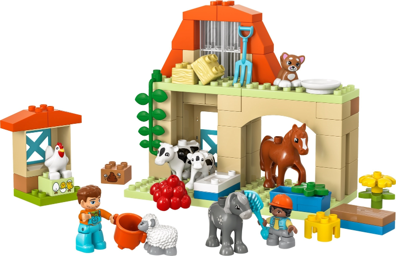 Caring for Animals at the Farm
