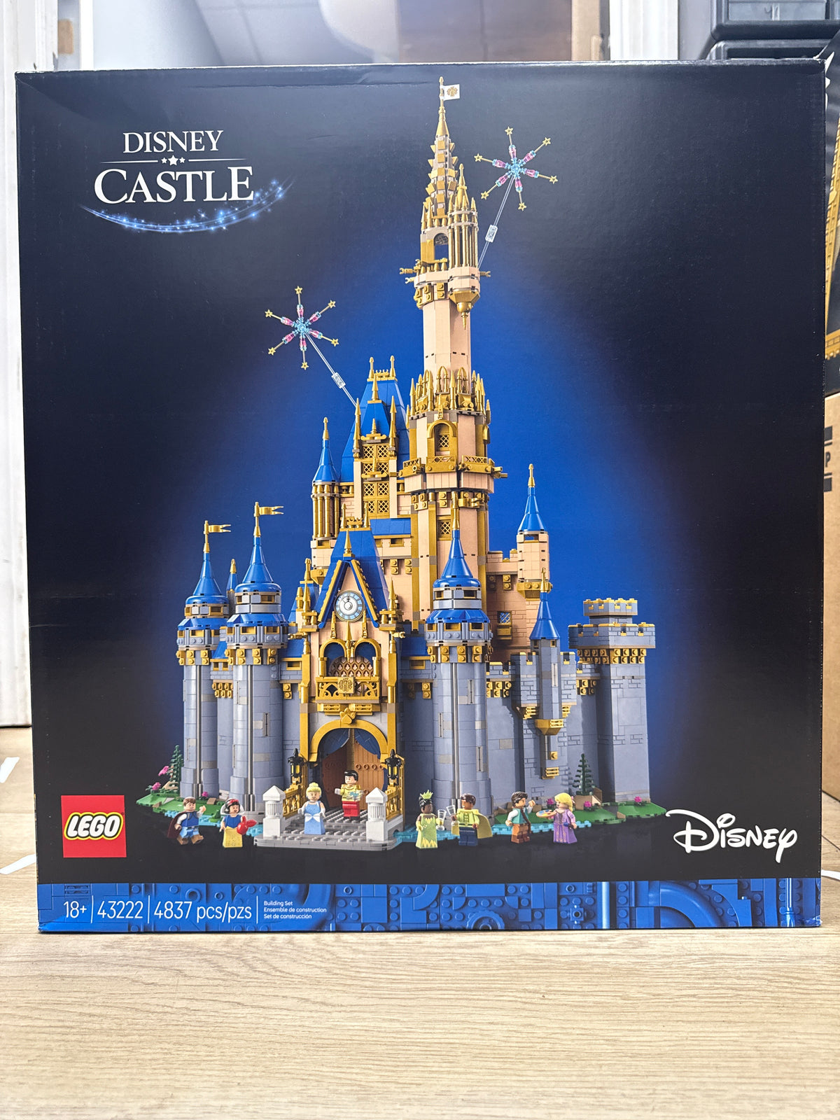 Disney Castle