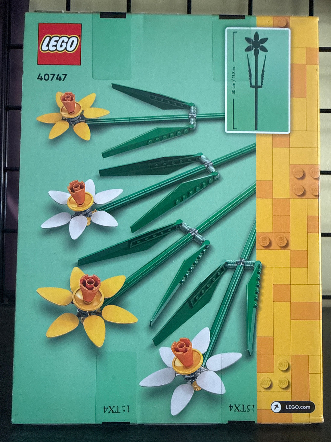 Daffodils