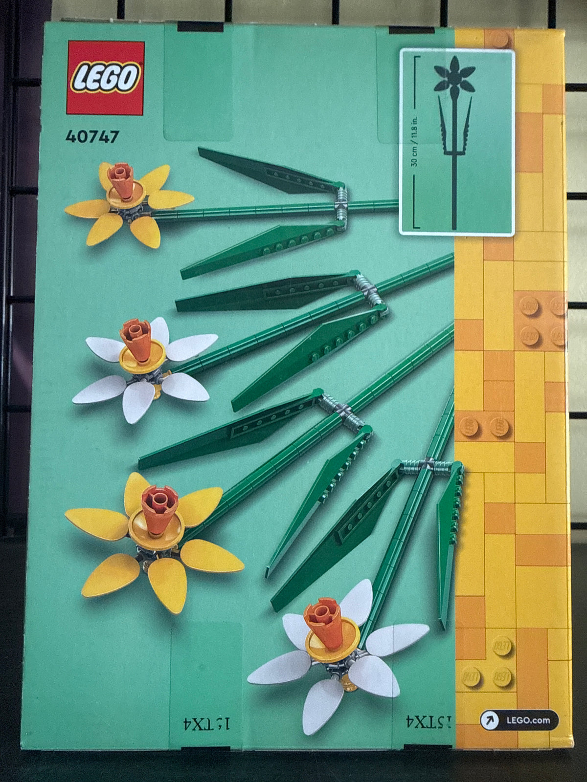 Daffodils