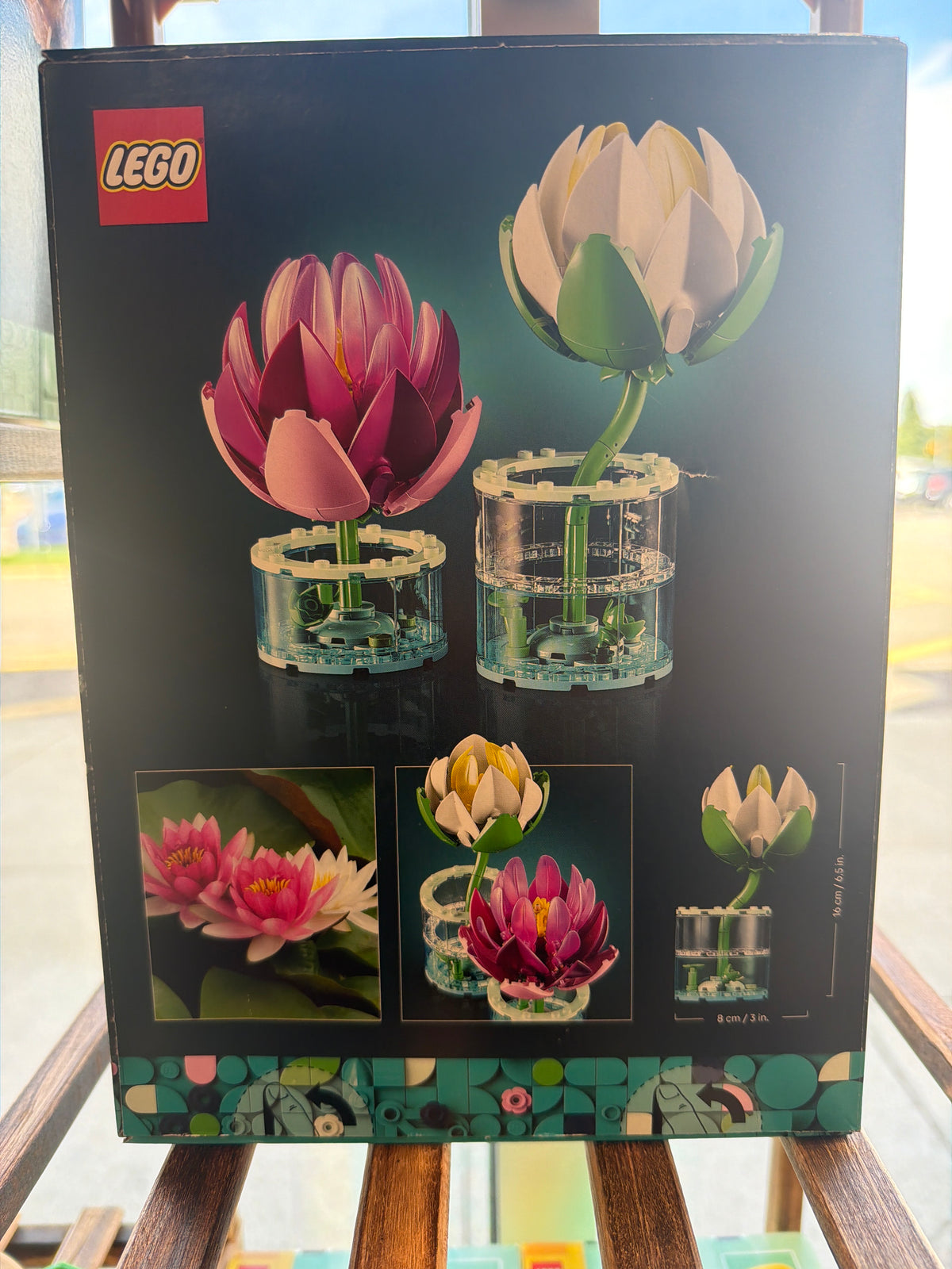 Water Lilies