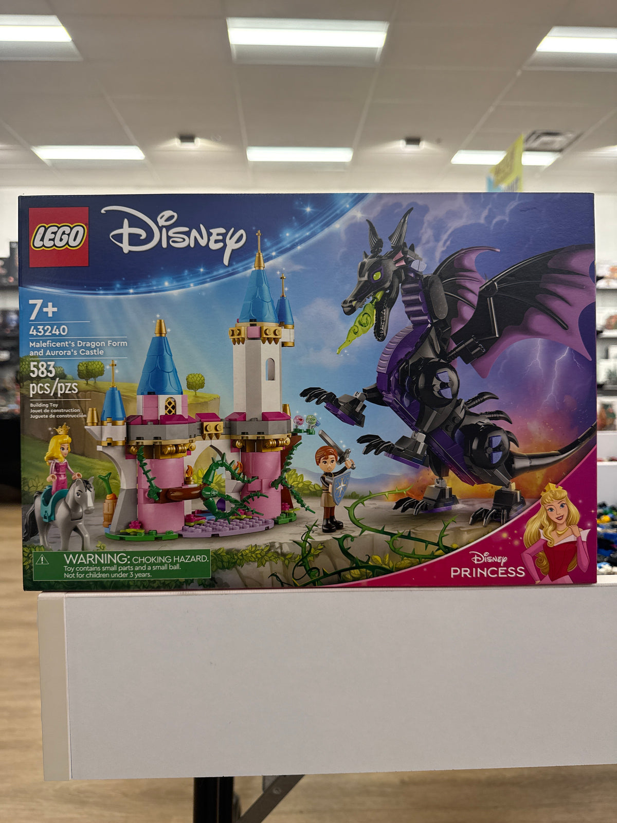 Maleficent's Dragon Form and Aurora's Castle