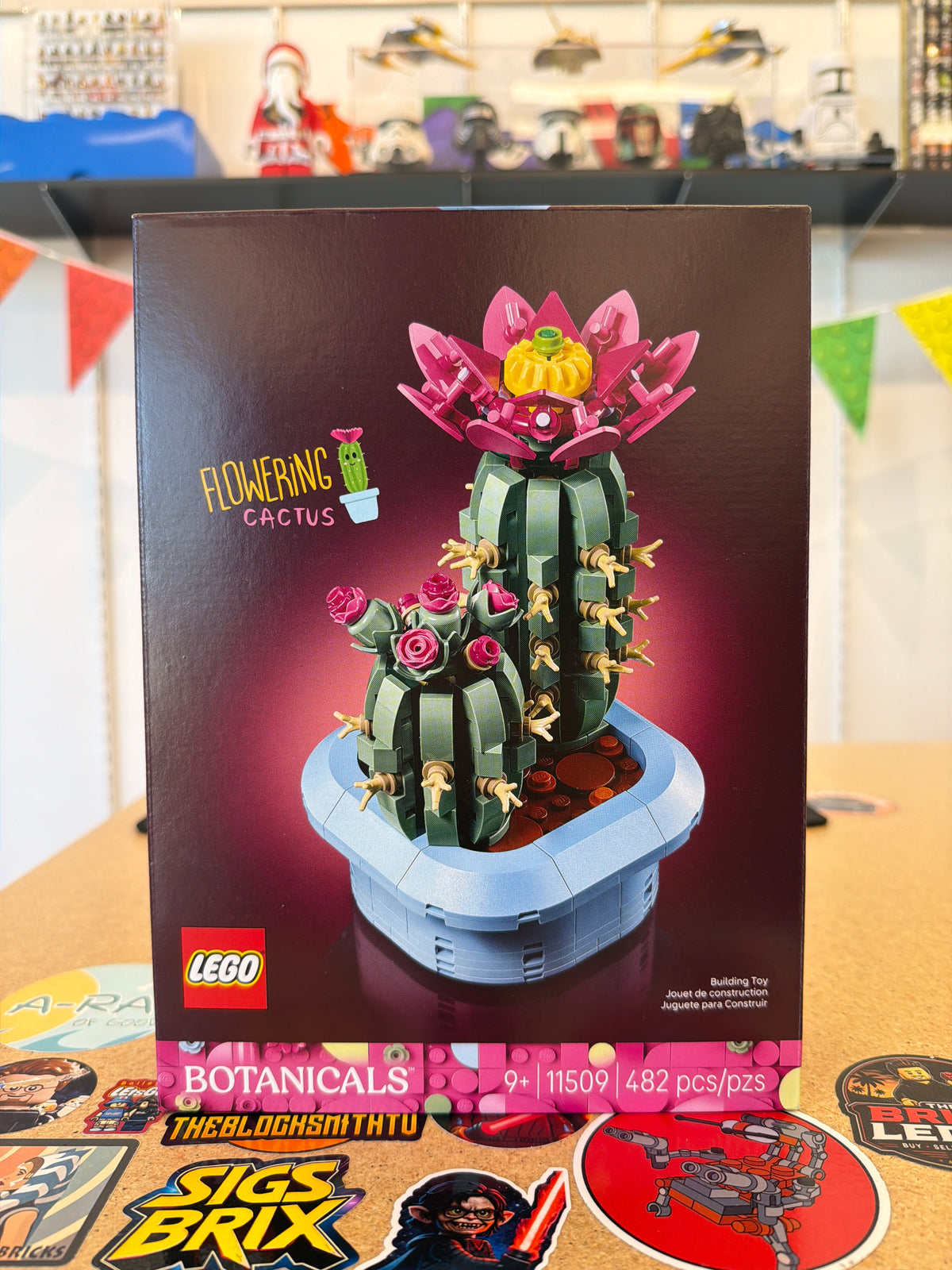 Flowering Cactus