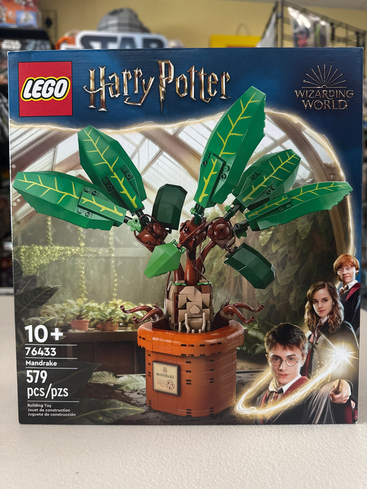 Mandrake
