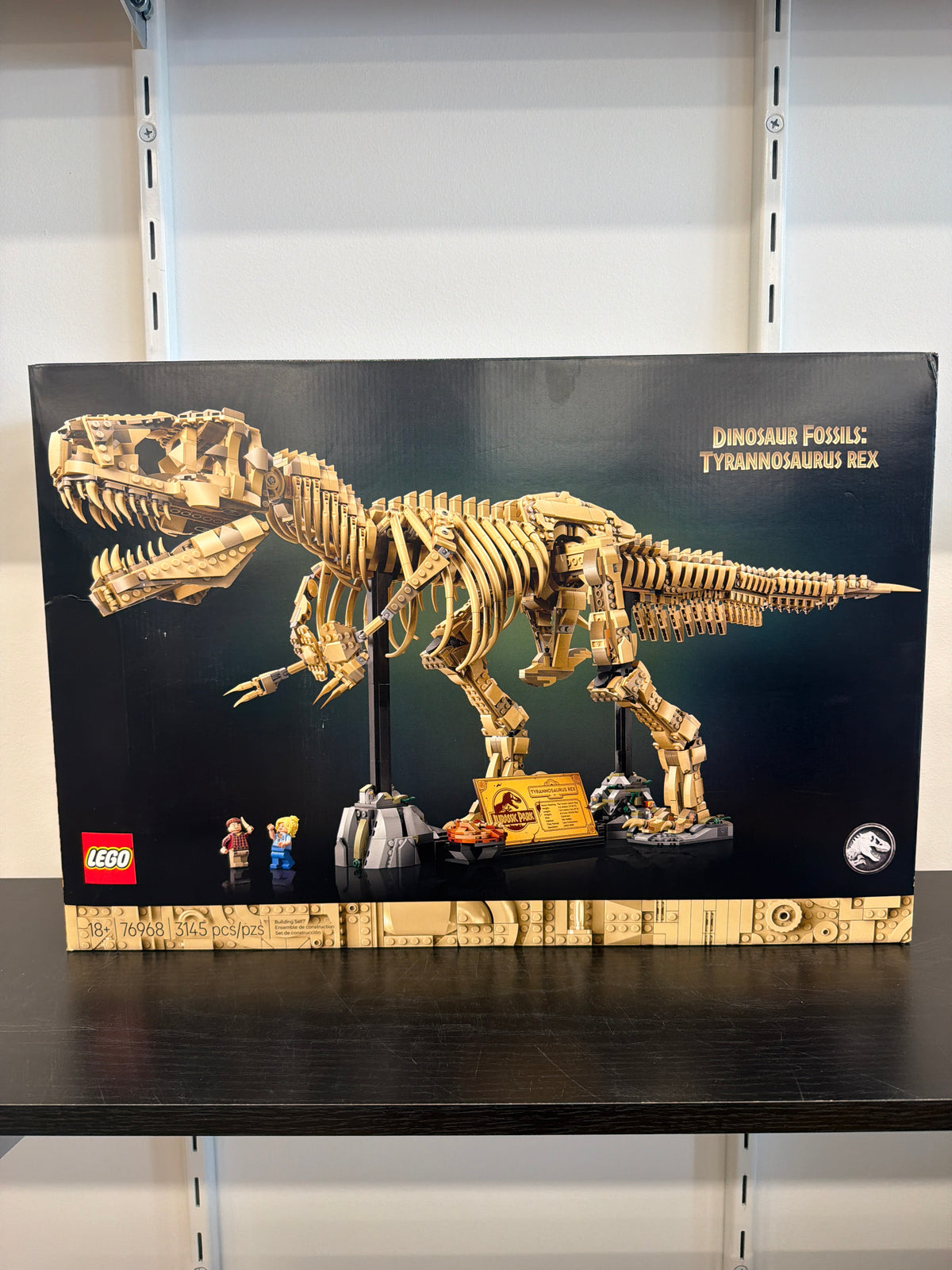 Dinosaur Fossils: Tyrannosaurus rex