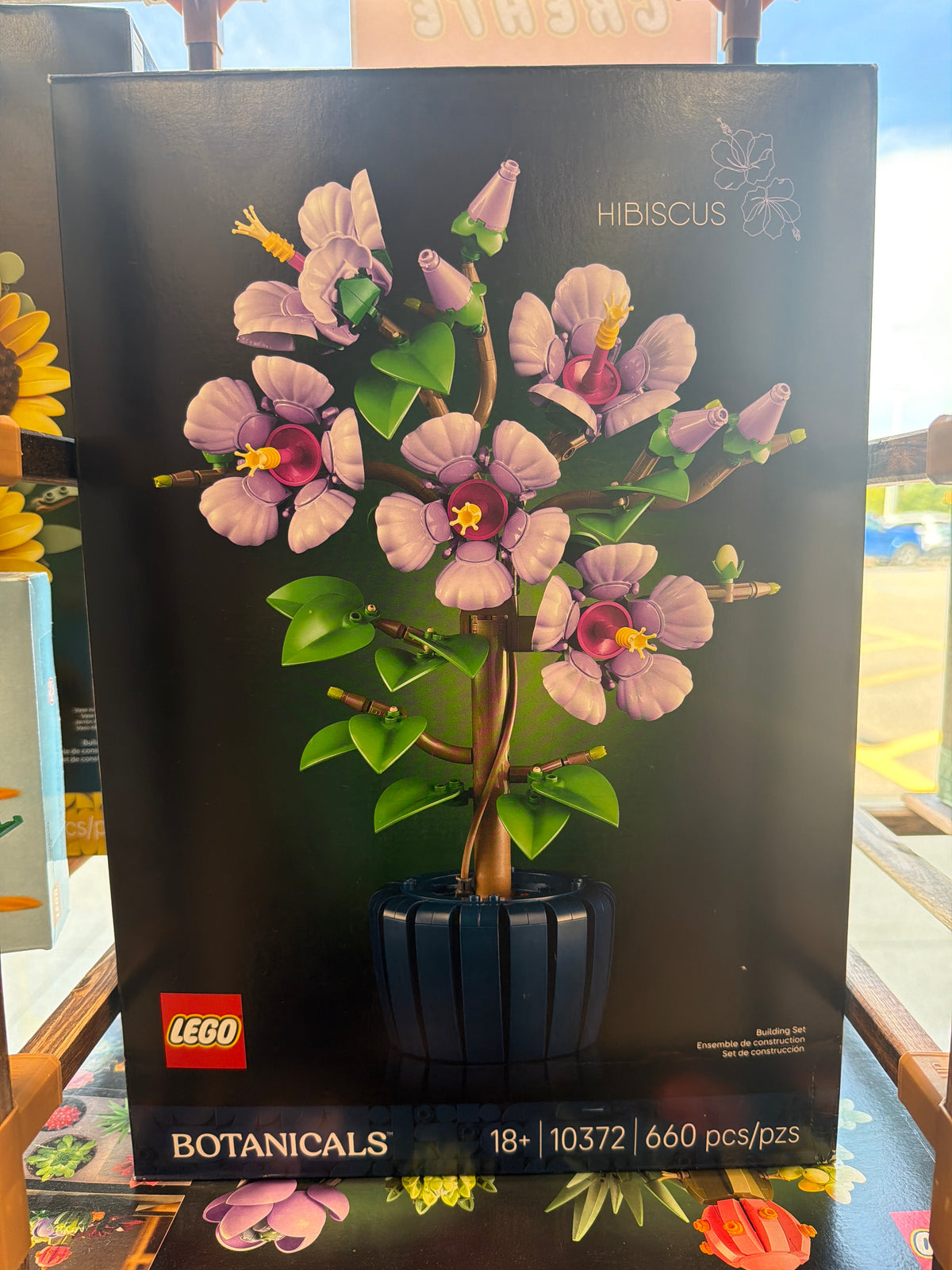 Hibiscus