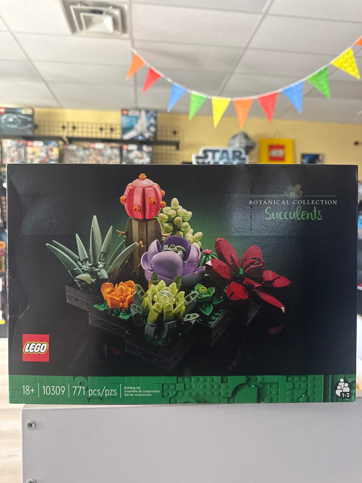 Succulents