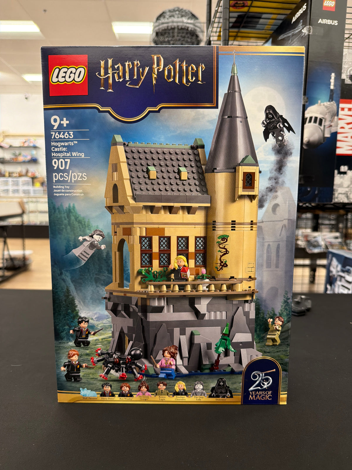 Hogwarts Castle: Hospital Wing