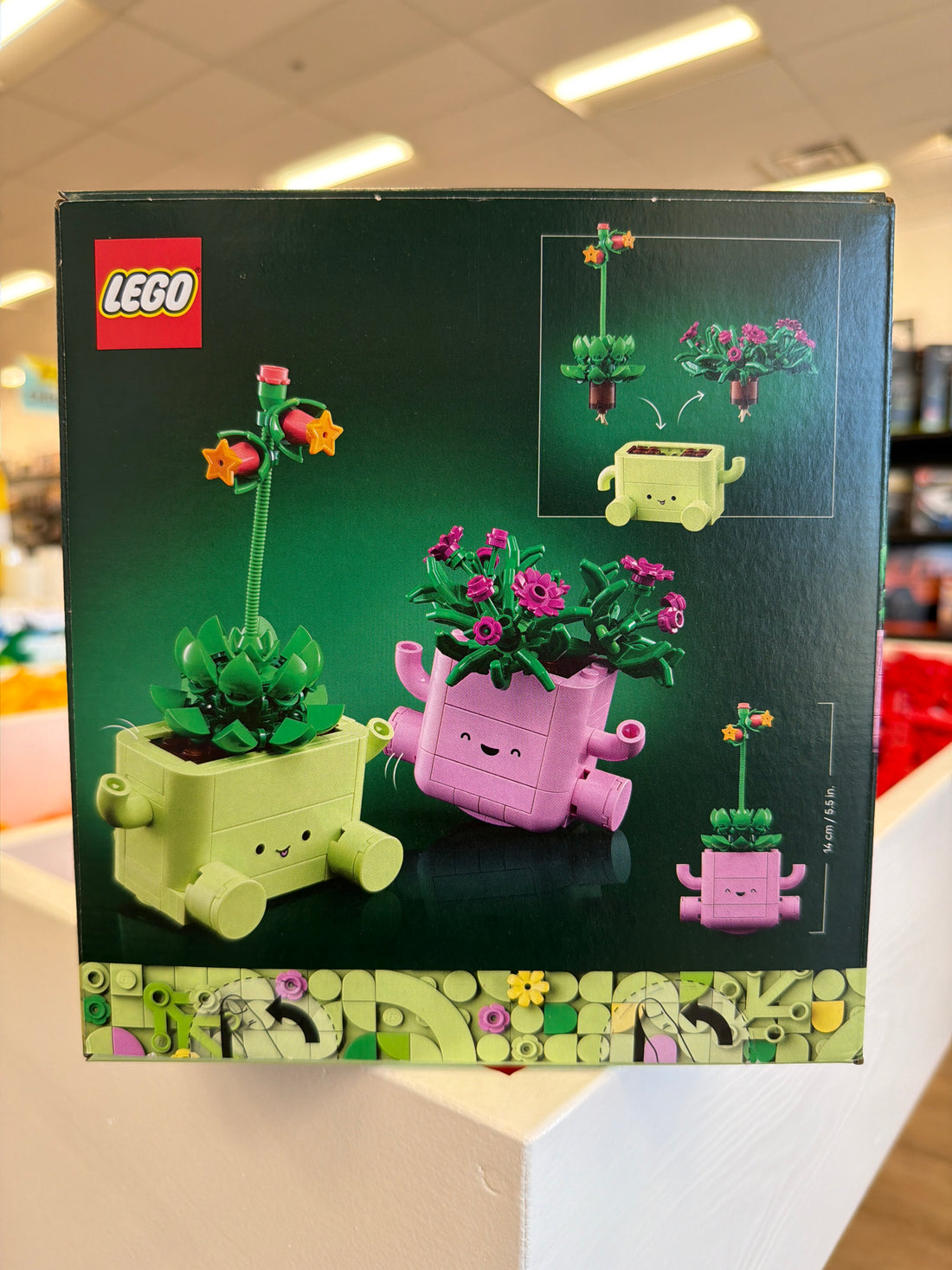 Rocking Plants