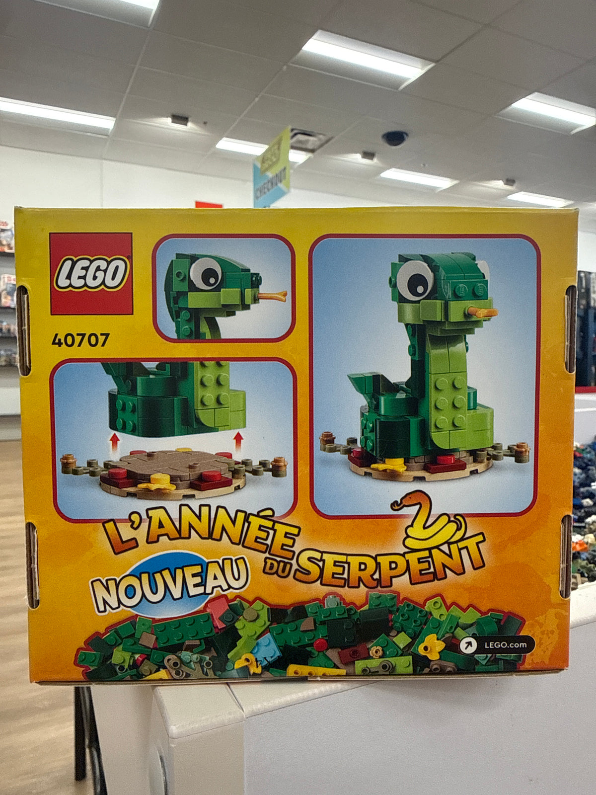 Year of the Snake