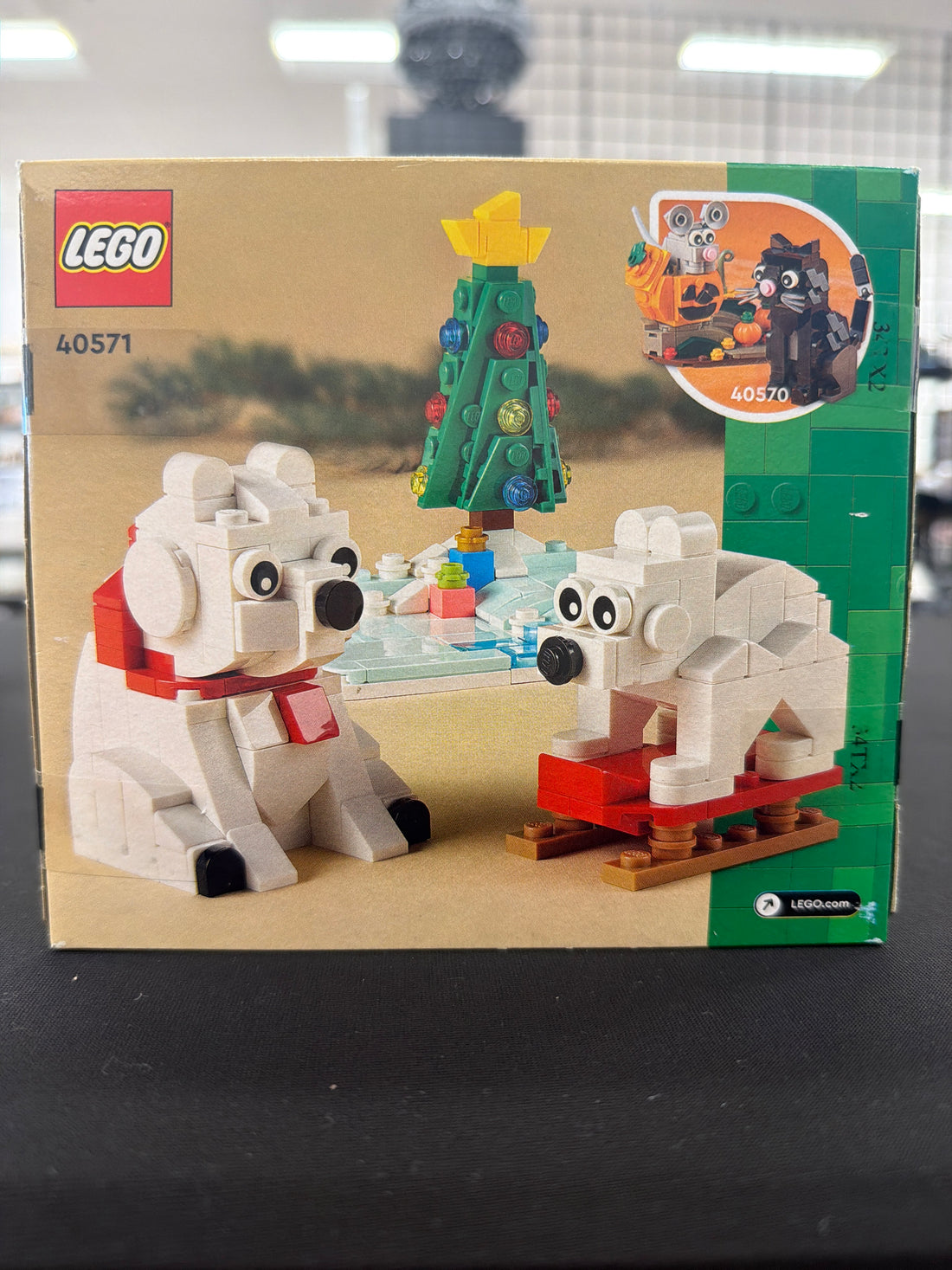 Wintertime Polar Bears