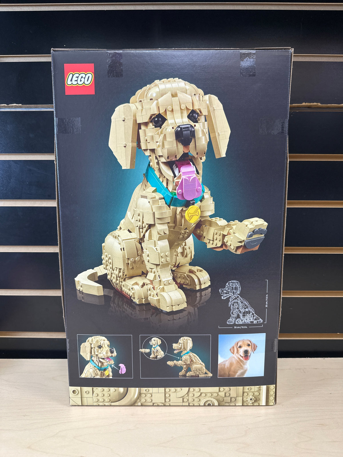 Golden Retriever Puppy