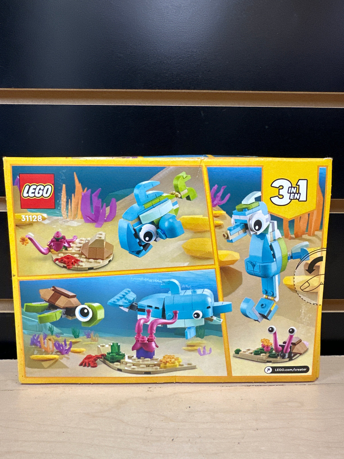 Dolphin and Turtle