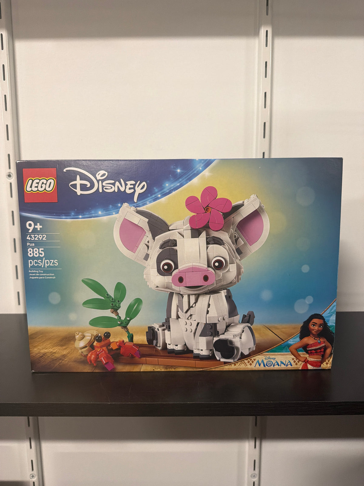 Pua
