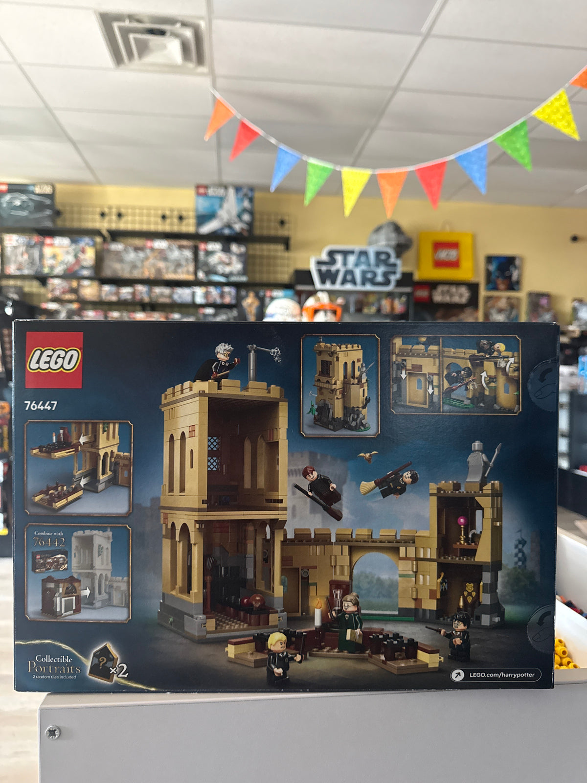 Hogwarts Castle: Flying Lessons