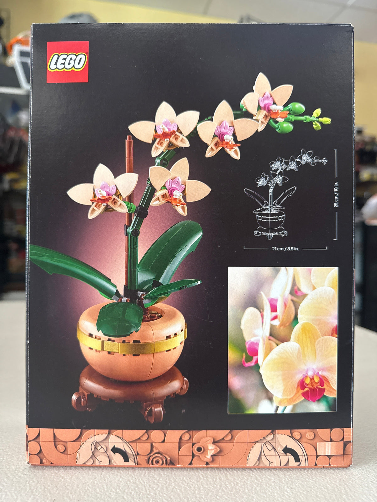 Mini Orchid