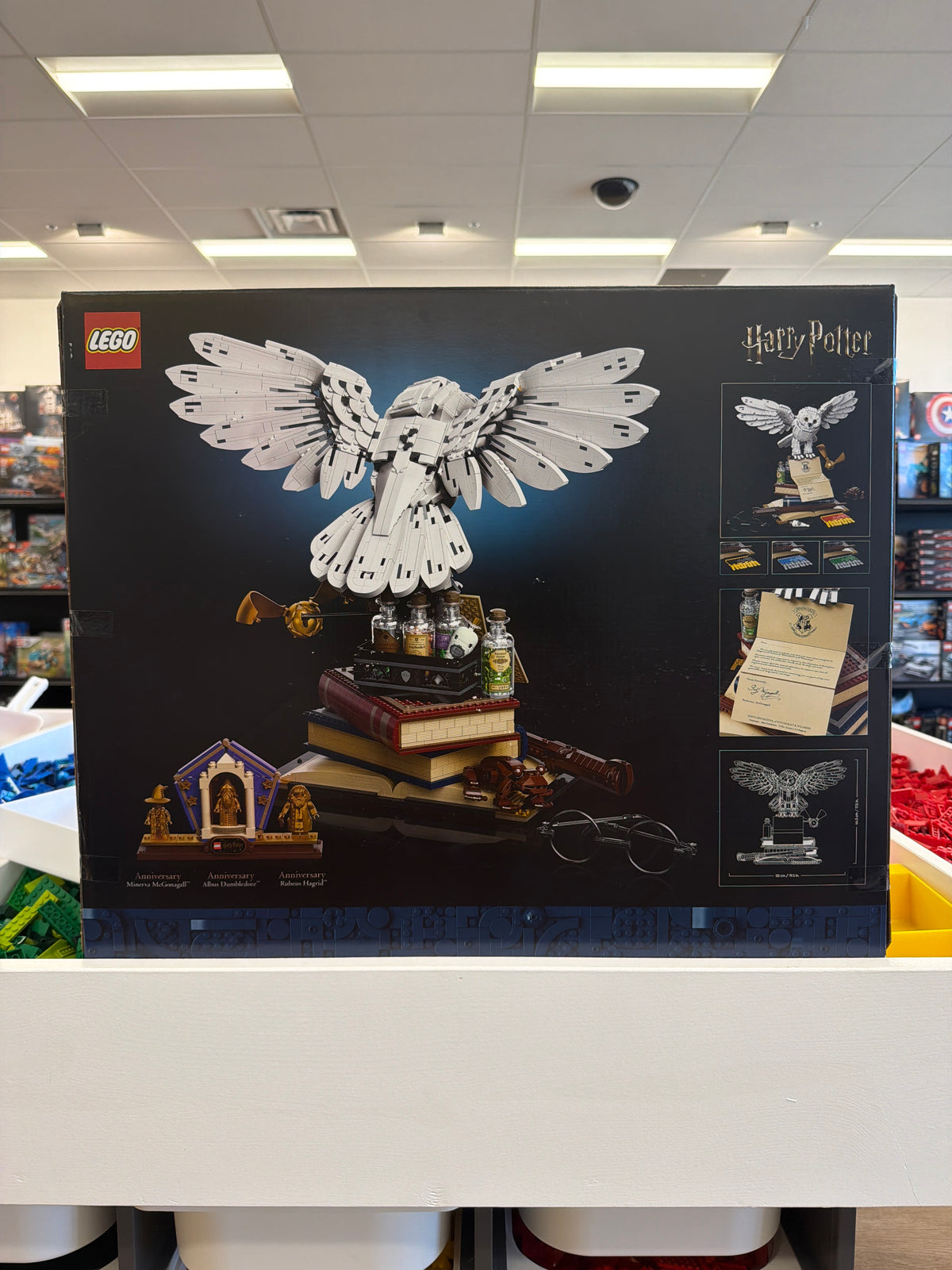 Hogwarts Icons - Collectors' Edition