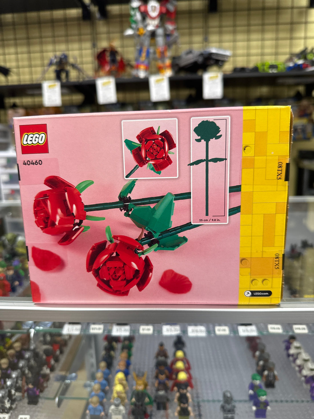 Roses