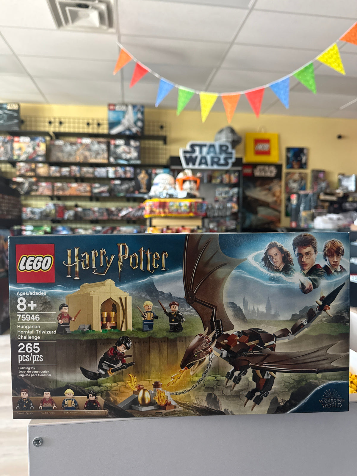 Hungarian Horntail Triwizard Challenge