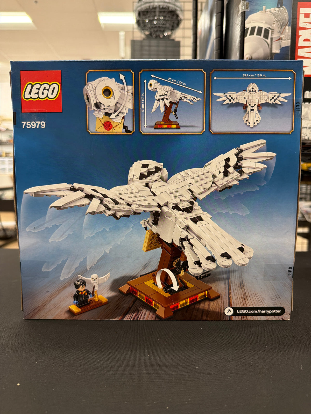 Hedwig