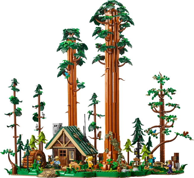 Sequoia Tree Trail