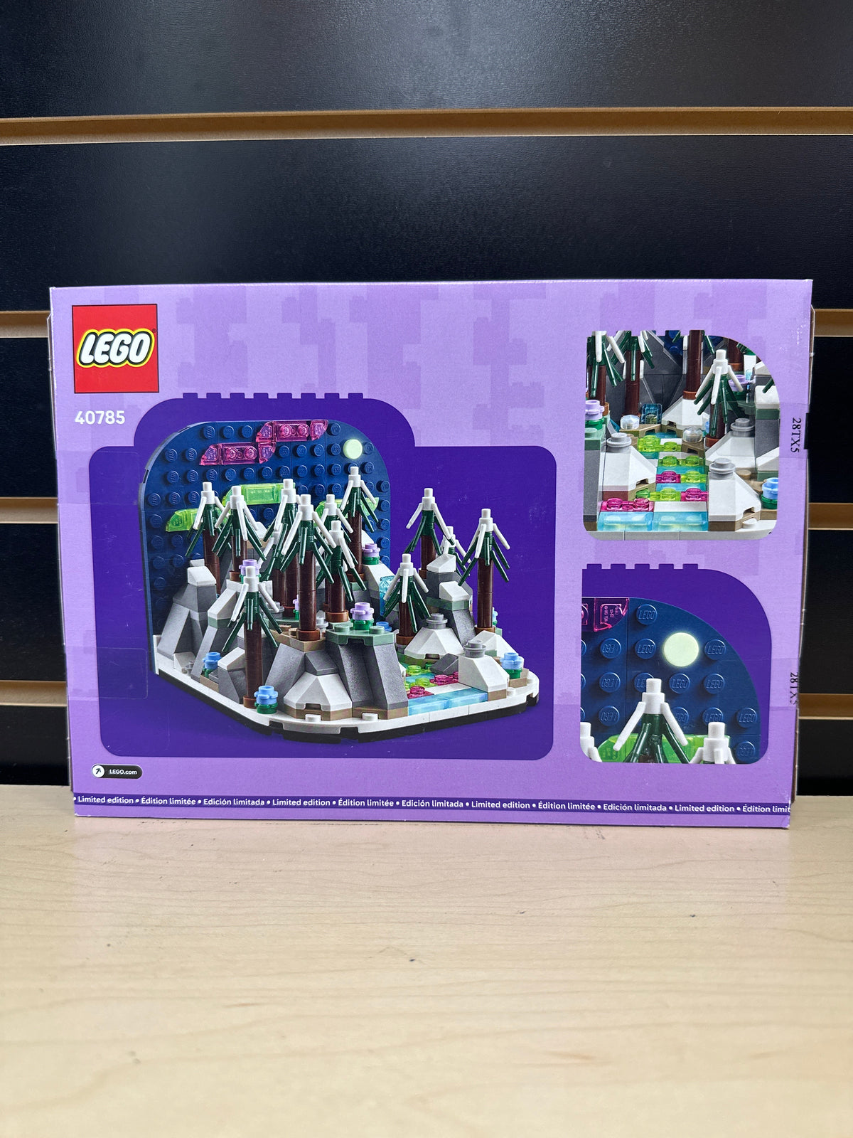 Northern Lights Diorama
