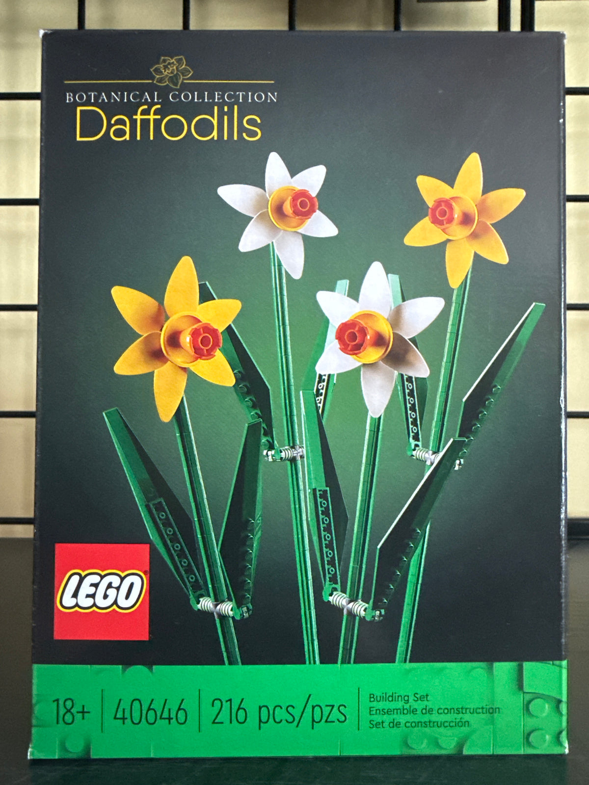 Daffodils