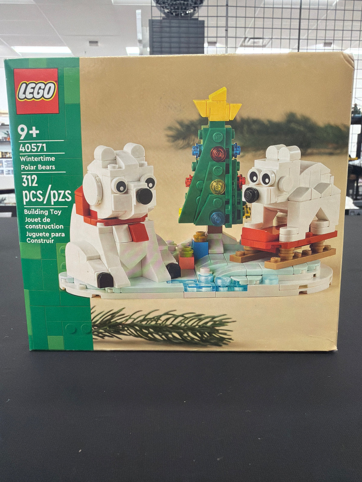 Wintertime Polar Bears