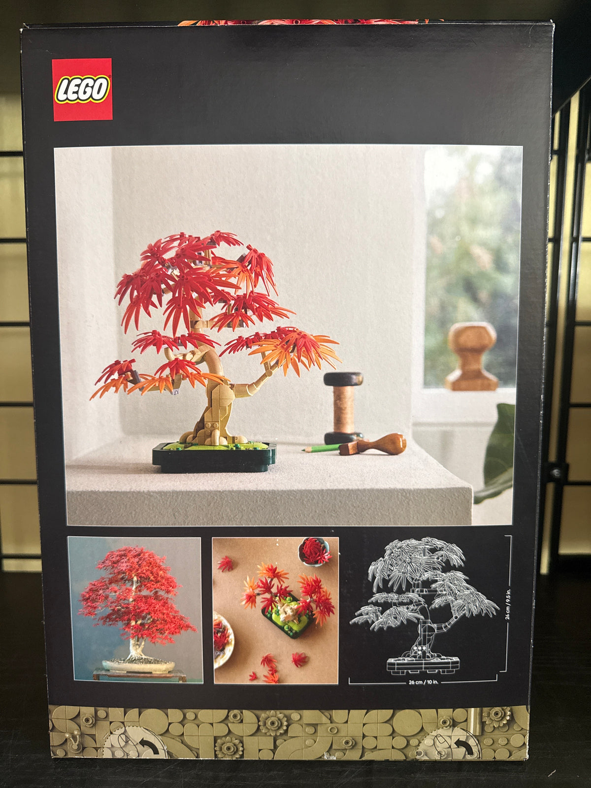 Japanese Maple Tree