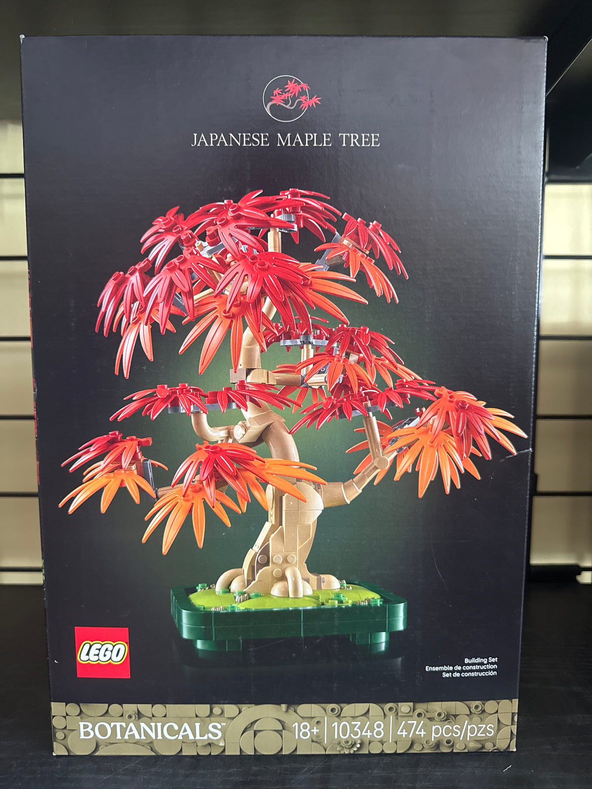 Japanese Maple Tree