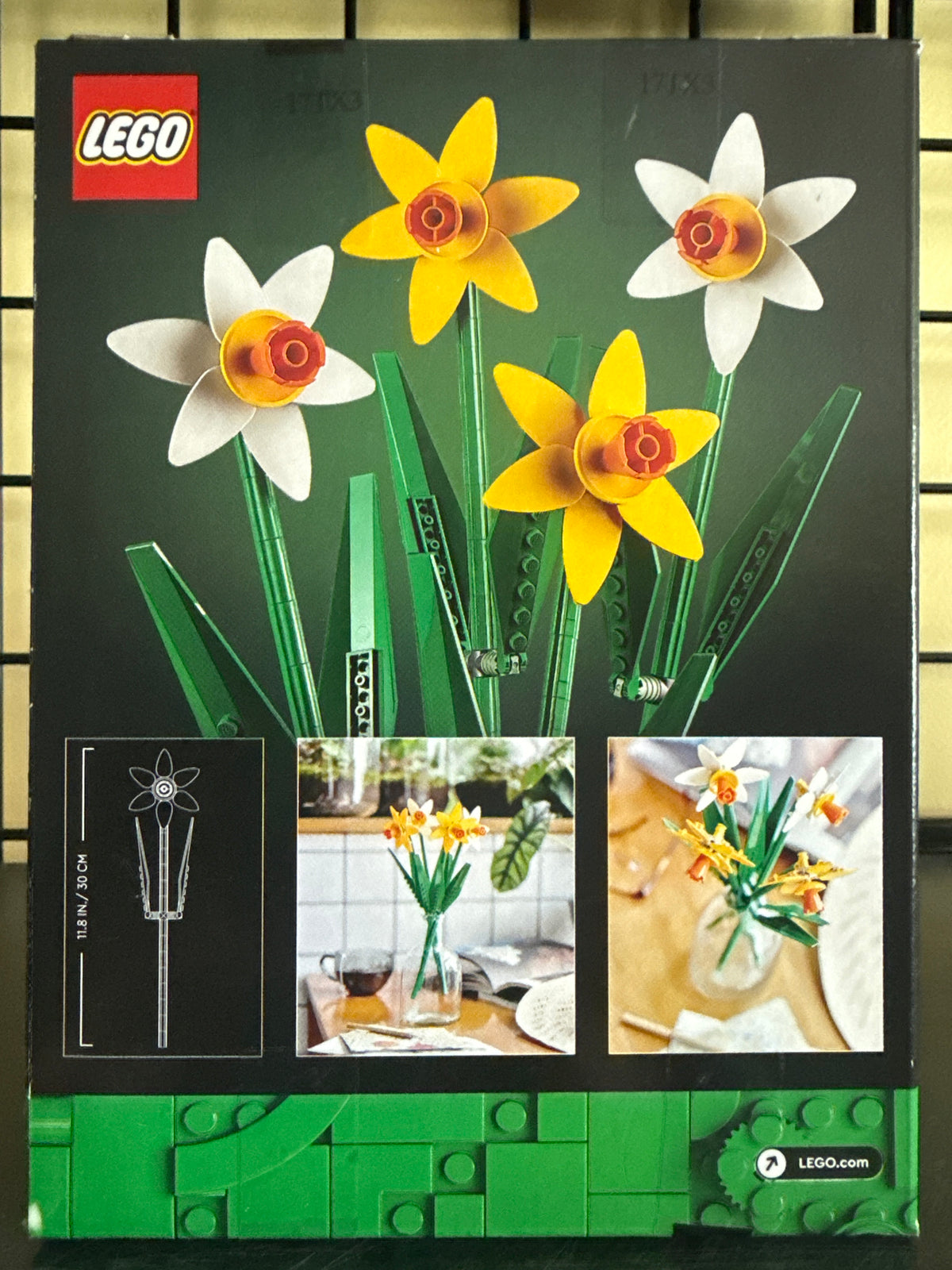 Daffodils