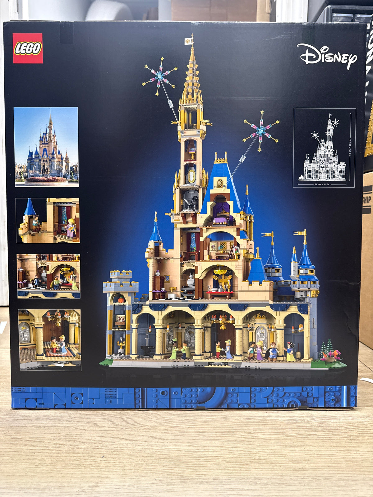 Disney Castle