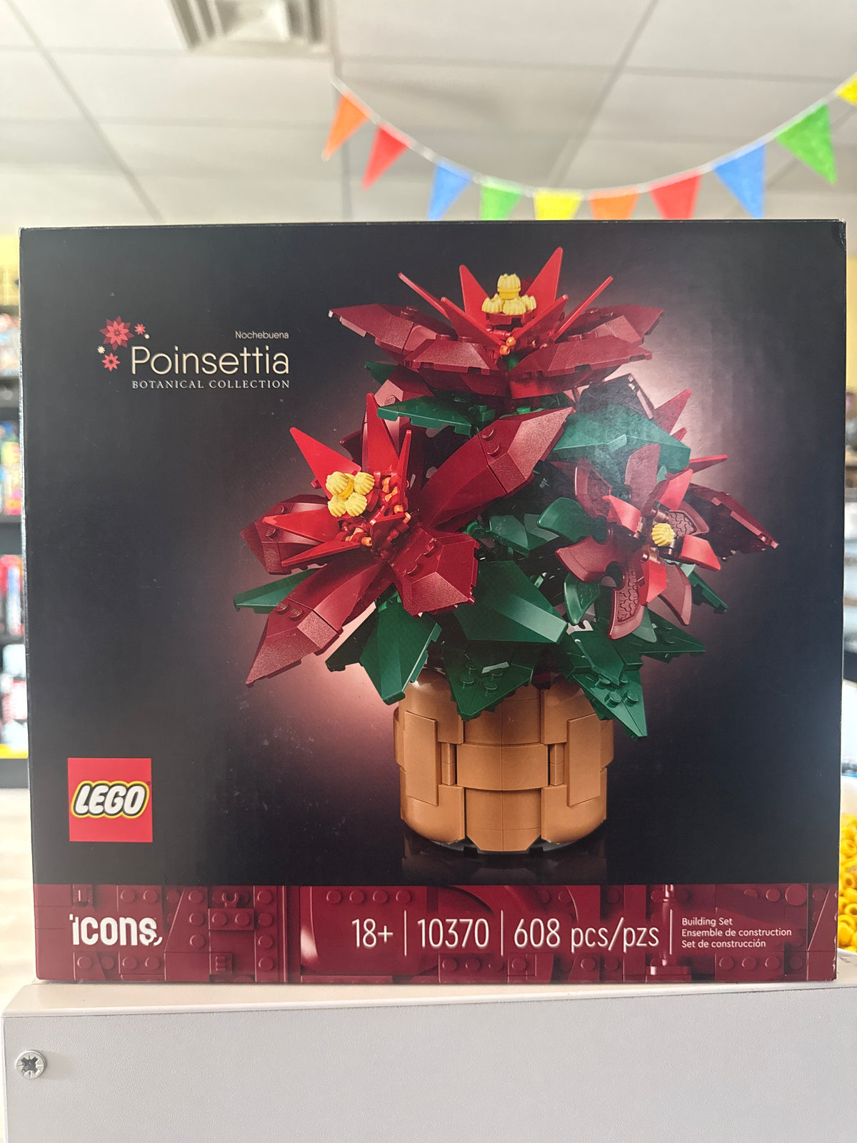 Poinsettia