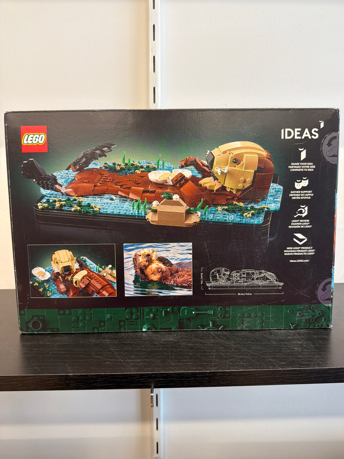 Floating Sea Otters (CERTIFIED SET)