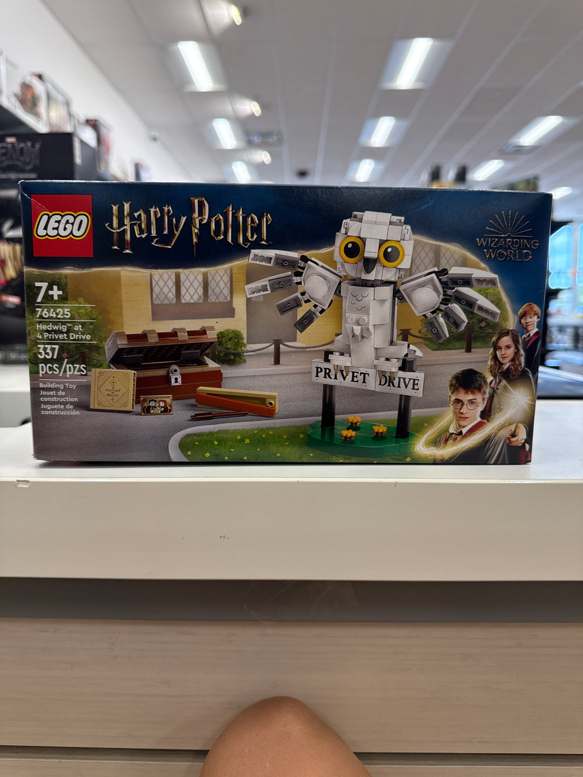 Hedwig at 4 Privet Drive
