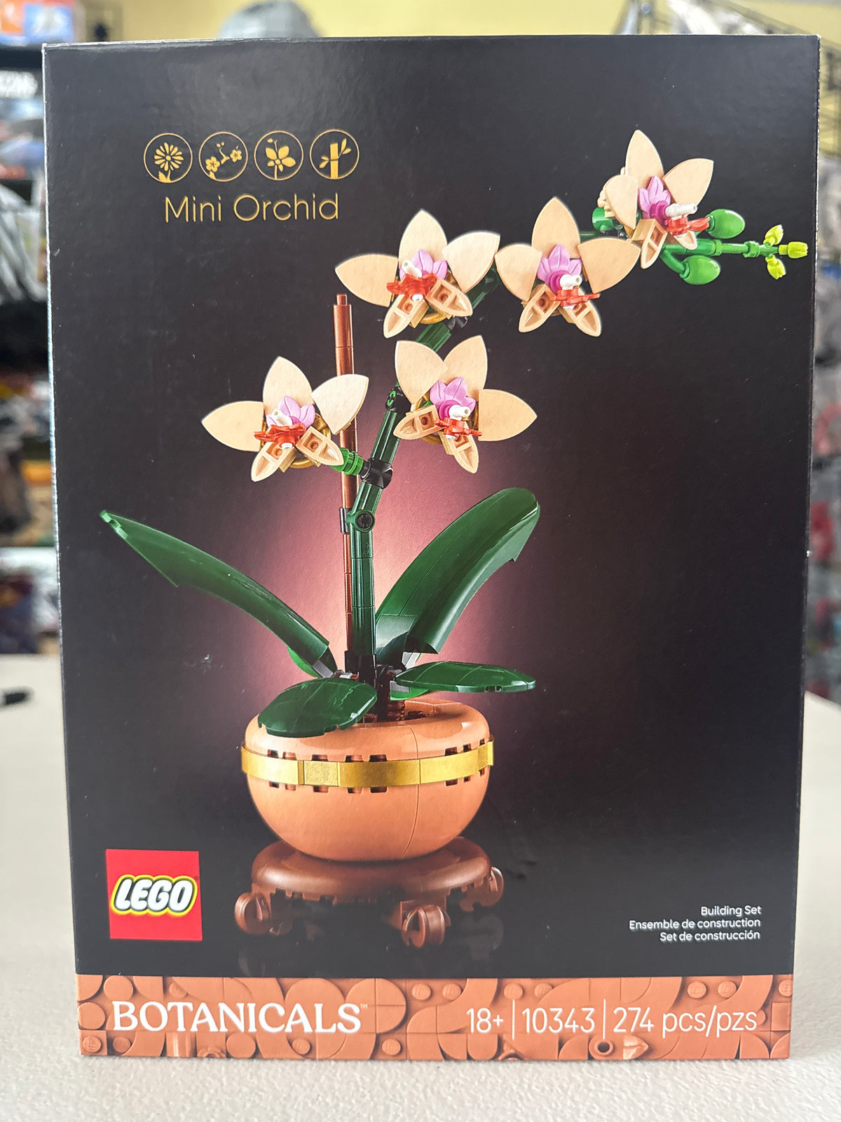 Mini Orchid