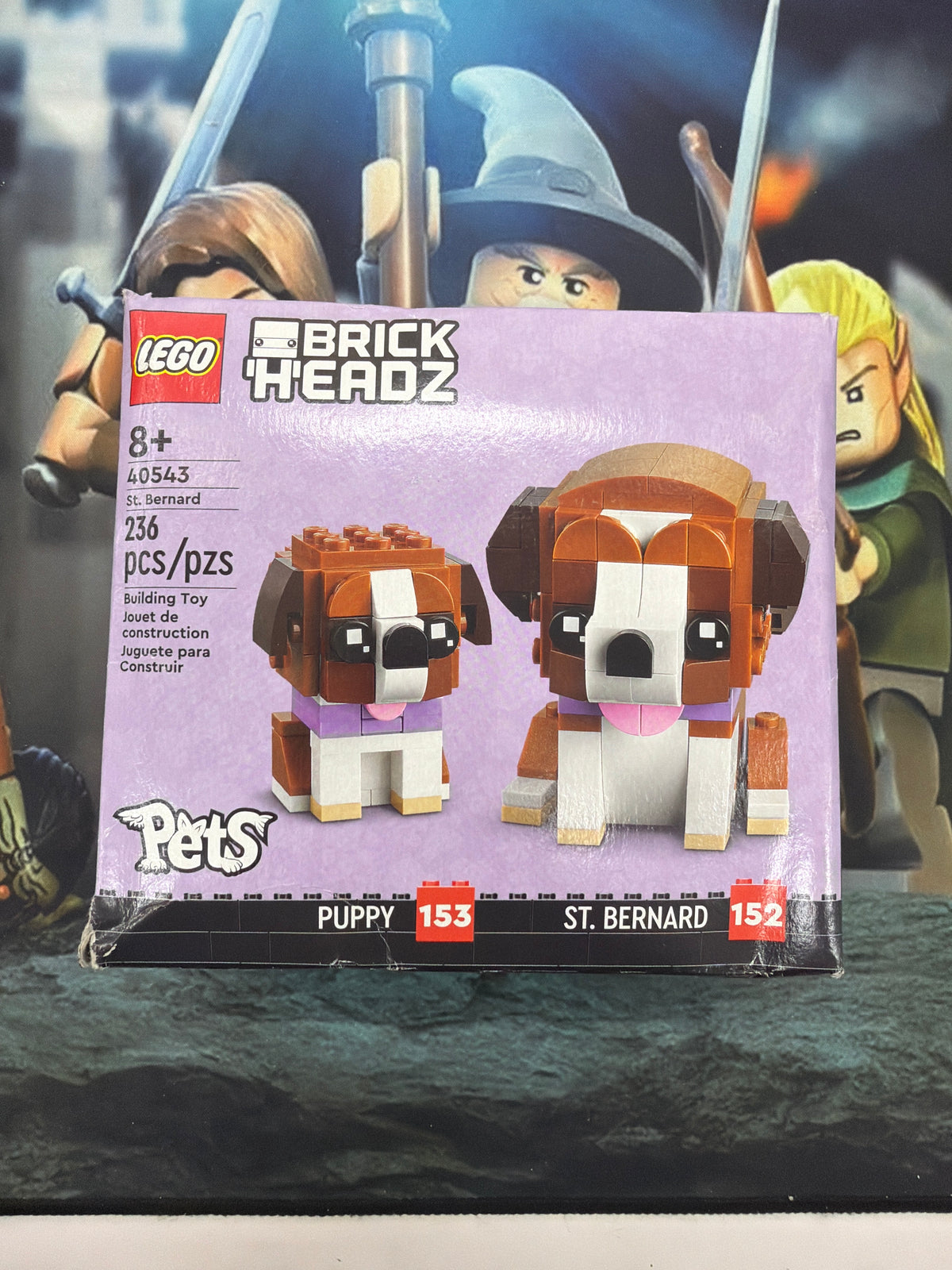 St. Bernard