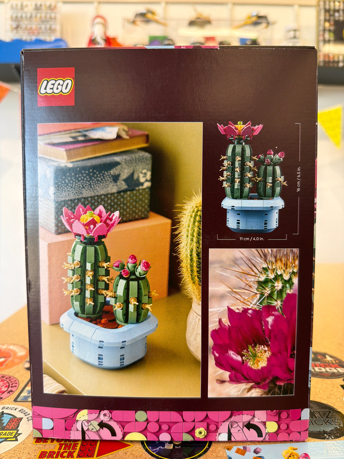 Flowering Cactus
