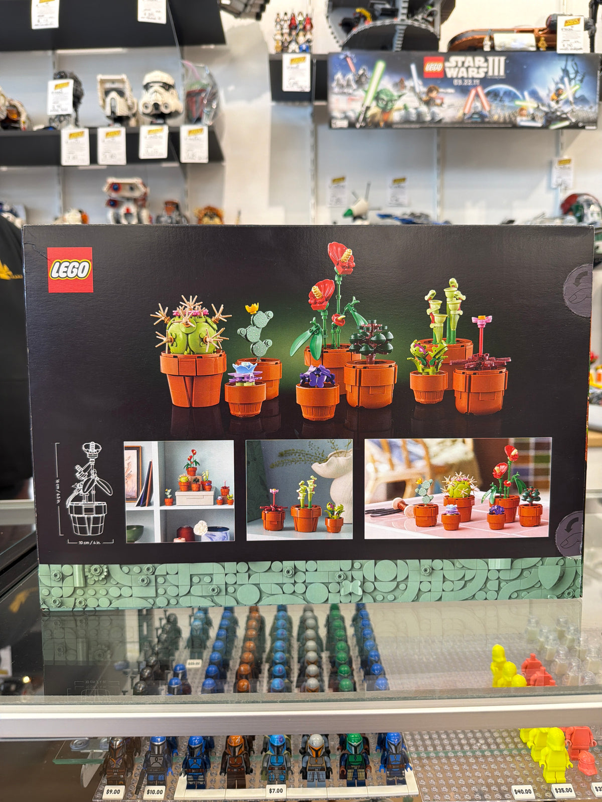 Tiny Plants