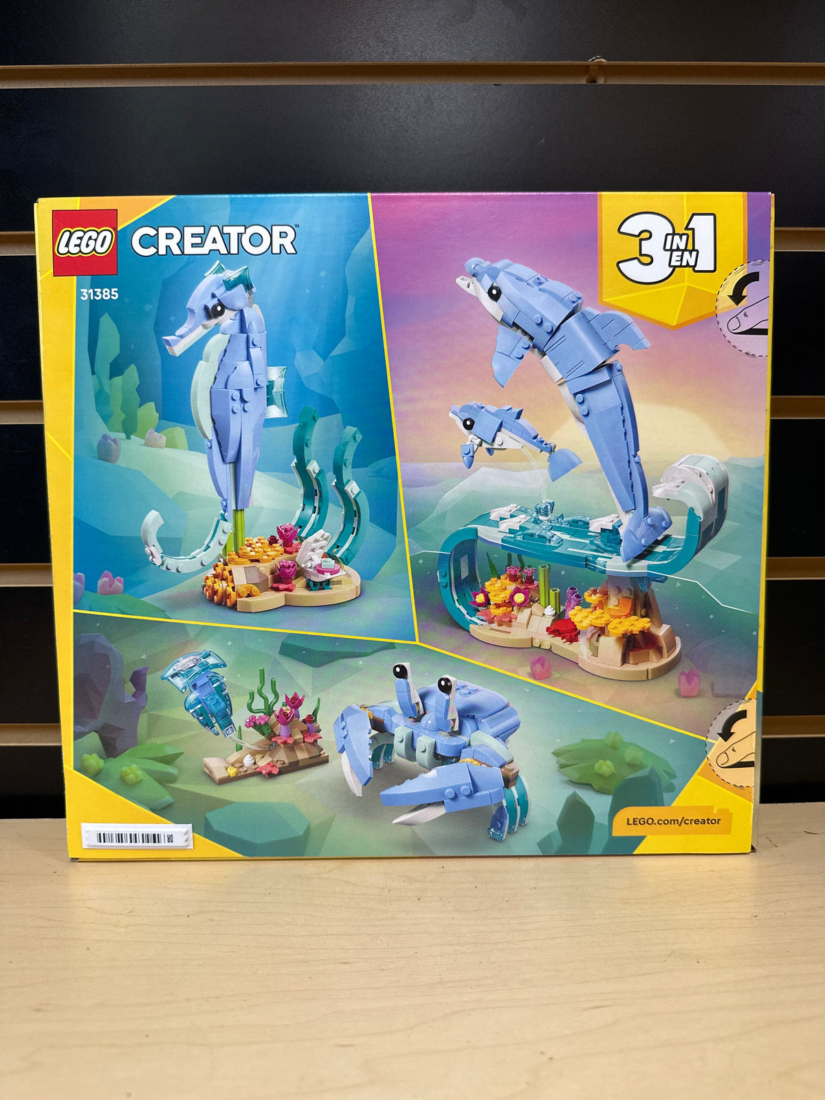 Beautiful Dolphins