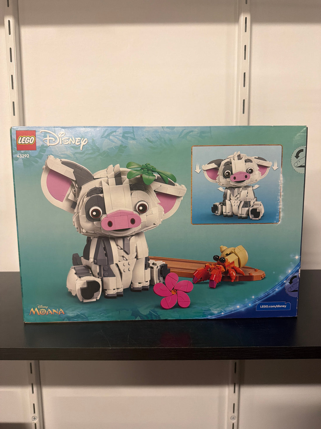 Pua