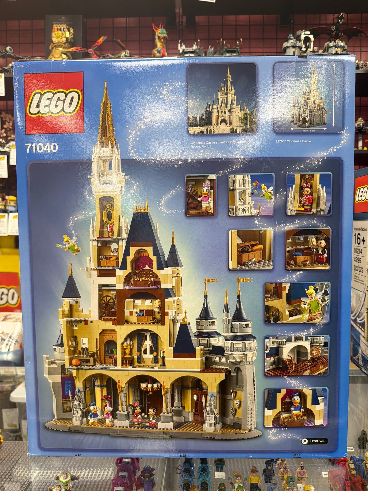 Disney Castle