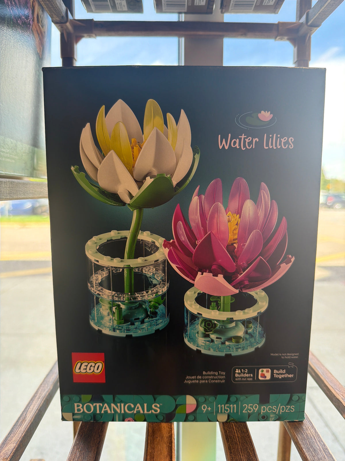 Water Lilies