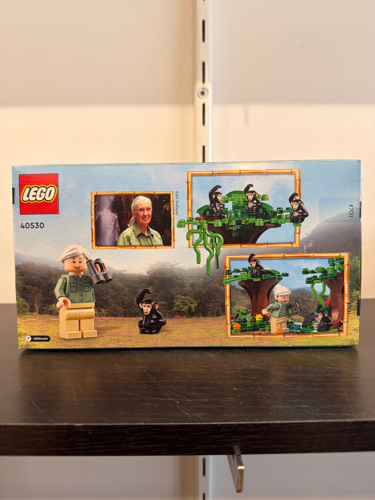 Jane Goodall Tribute