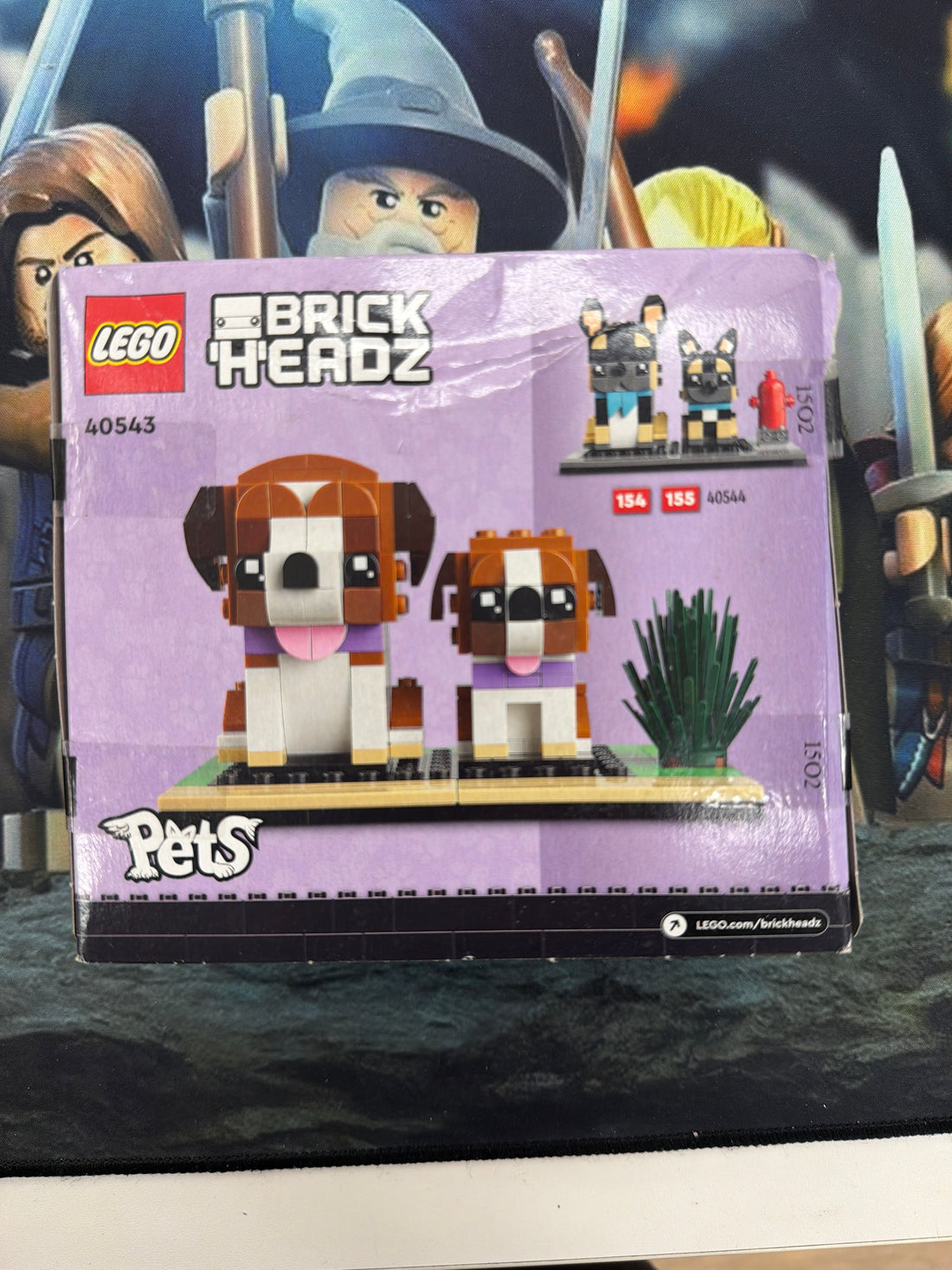 St. Bernard