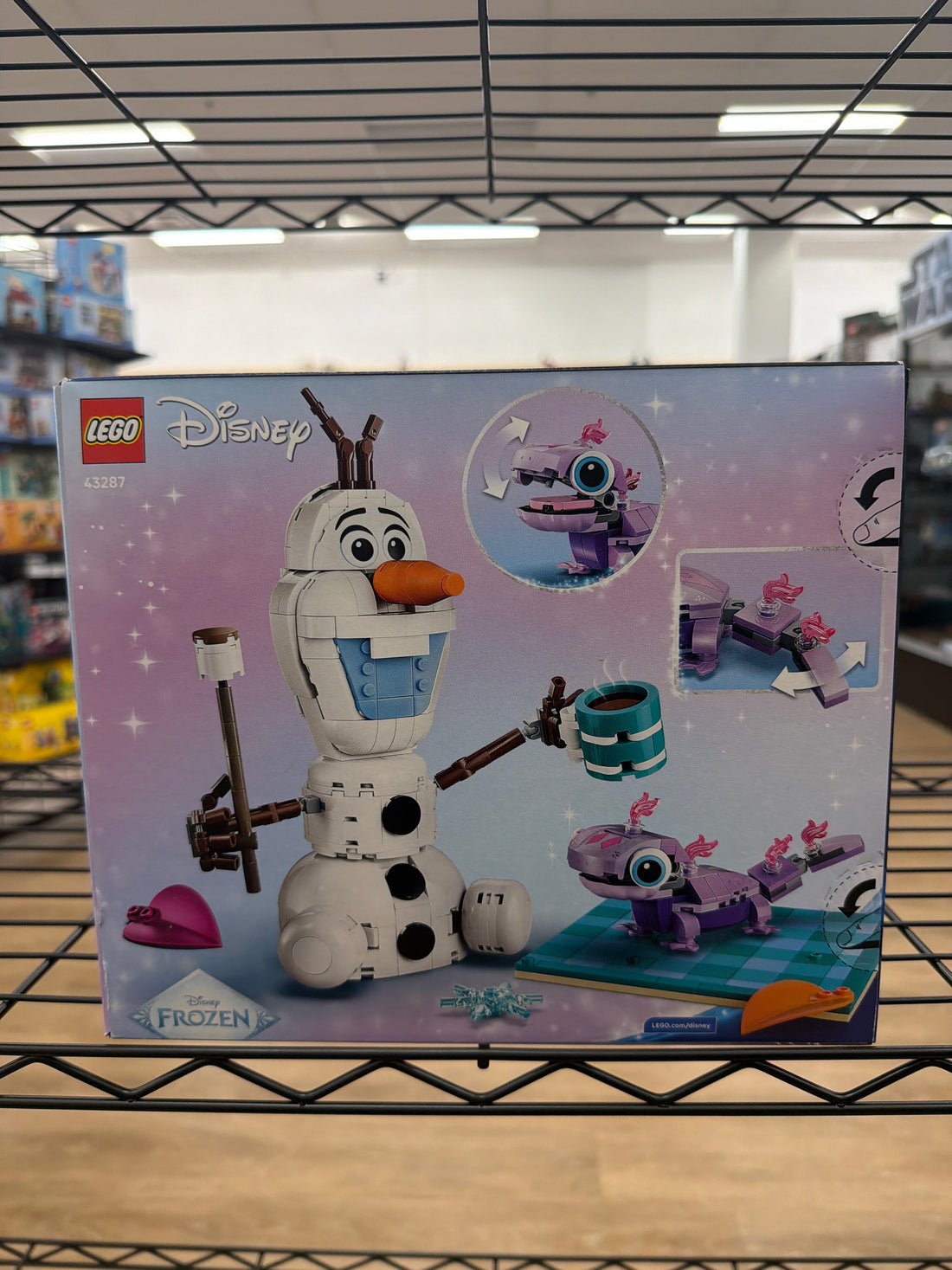Olaf and Bruni's Picnic Fun