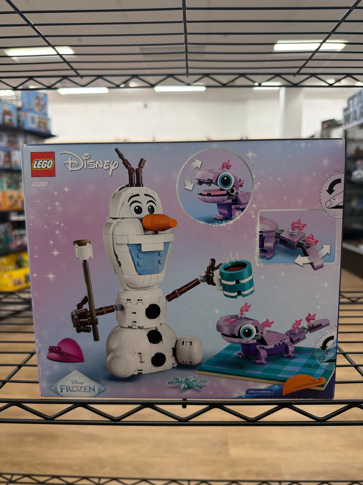 Olaf and Bruni's Picnic Fun