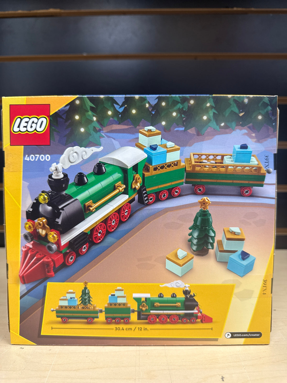 Winter Holiday Train