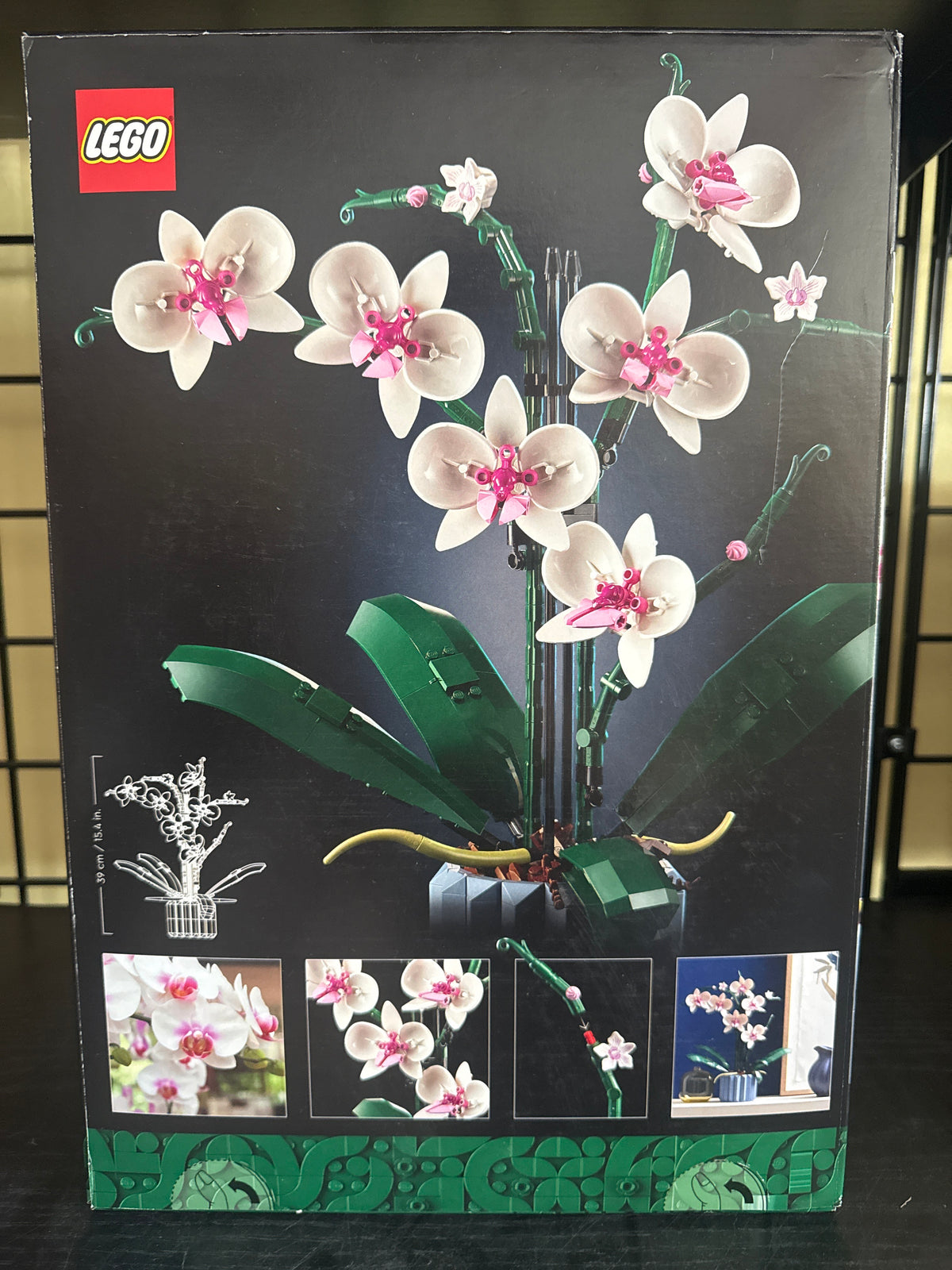Orchid