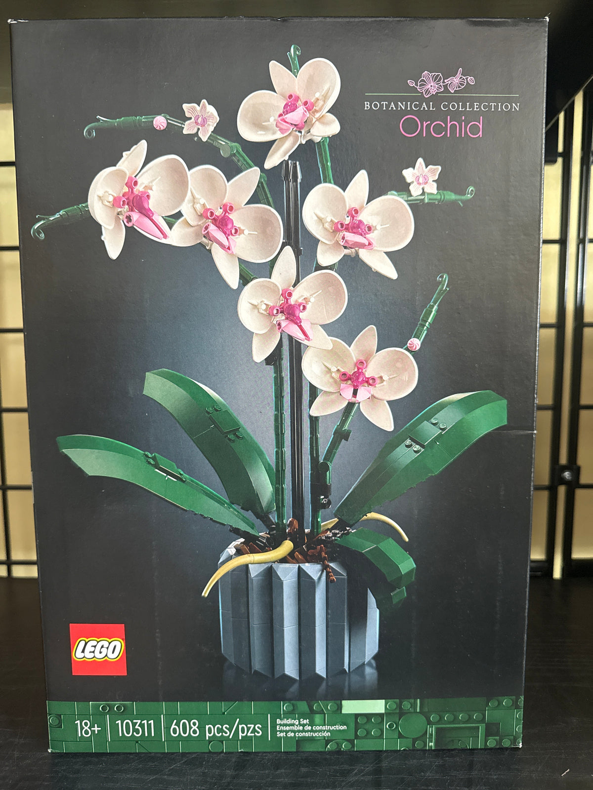 Orchid
